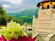 Visit the Temple of the Tooth Relic in Kandy