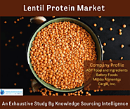 Lentil Protein Market is projected to grow at a healthy CAGR