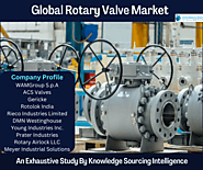 Global Rotary Valve Market Research Analysis By Knowledge Sourcing Intelligence