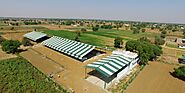 Whyte Farms - Farm Fresh Pasteurised A2 Cow Milk in Delhi NCR