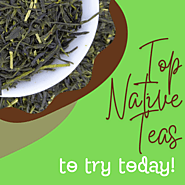 Top Native Teas to Try Today