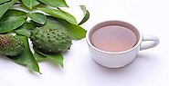 Soursop Tea | Tea Life