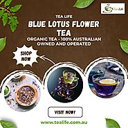 Blue Lotus Flower Tea - Tea Life