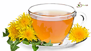 Dandelion tea and its health benefits: ext_6239912 — LiveJournal