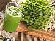 Wheatgrass: Benefits, Side Effects, and More