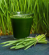 व्हीटग्रास जूस के फायदे और नुकसान - Wheatgrass Juice Benefits and Side Effects in Hindi
