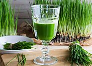 Wheatgrass Juice 101: Benefits, Top Uses, Side Effects, More