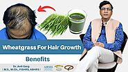 Wheatgrass Benefits For Hair Growth | Wheatgrass For Skin, Hair, Detoxification | Dr. Anil Garg