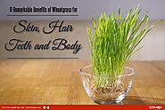 11 Benefits of Wheatgrass for Skin, Hair and More - By Dr. Prabha Jindal | Lybrate