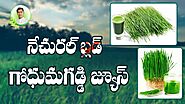 Wheatgrass Benefits | Health Benefits Of Wheatgrass Juice | Health Tips In Telugu
