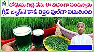 Wheat Grass Juice | Speed Blood Improve Tips in Telugu | Dr Manthena Satyanarayana Raju Videos