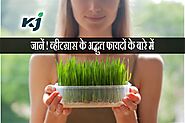 Benefits of Wheatgrass: गेहूं घास से बना जूस और पाउडर क्यों है सेहत के लिए फायदेमंद, जानिए बनाने की विधि - Benefits o...