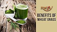Health Benefits Of Wheat Grass- Dr. Vibha Sharma (Ayurveda & Panchkarma Expert)