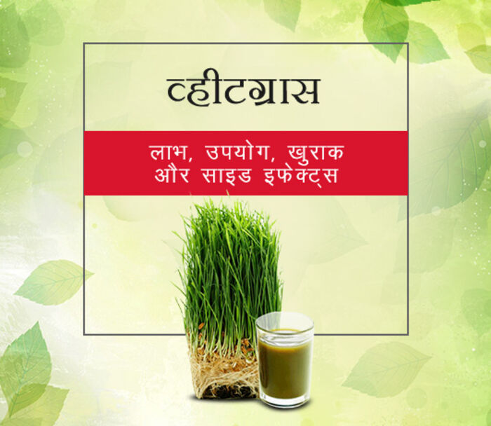 benefits of wheat grass in hindi A Listly List