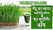 व्हीट ग्रास के फायदे | Health Benefits of Wheat grass in Hindi