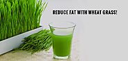 5 Benefits of Consuming Wheatgrass Juice Every Morning - Kapiva