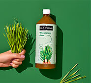 5 Benefits of Consuming Wheatgrass Juice Every Morning | Kapiva