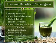 Wheatgrass: Health Benefits, Nutrition Information, How to Use It, and More