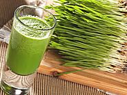 Wheatgrass - Health Benefits, Nutrition & Weight Loss - HealthifyMe