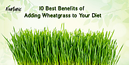 Website at https://www.jiomart.com/p/groceries/earthomaya-wheat-grass-powder-100gm-organe-flavor-100-pure-non-gmo-veg...