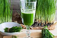 Amazing health benefits of wheatgrass juice in hindi | Wheatgrass Juice Benefits: व्हीटग्रास ग्रास जूस के है कमाल के ...