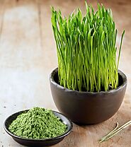 14 Health Benefits Of Wheatgrass, Nutrition, & Side Effects