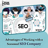 Advantages of Working with a Seasoned SEO Company | PeakSpire