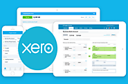 Why Your Business Needs Xero Accountants