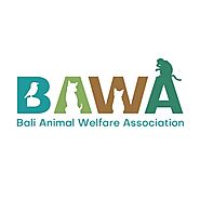 Bali Animal Welfare Association (BAWA)