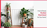 How to Choose The Best Plant Stand For Your home?