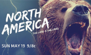 Animals of North America : Discovery Channel