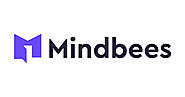 Web Design & Development Company India | MindBees