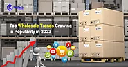 Top Wholesale Trends Growing in Popularity in 2023