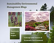 Sustainability Environmental Management Blogs