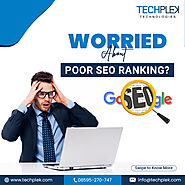 Why You Need TechPlek’s Professional SEO Service?