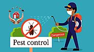 Mistakes to Avoid When Choosing the Pest Control Service