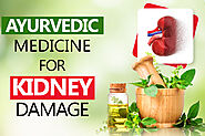 Best Kidney Treatment in Ayurveda at KidneyXpert
