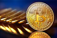 Rafael Oliveira Bitcoin - Know About Bitcoin Cash- Blog Halt