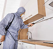 A Full Breakdown of Pest Control Services in Gurugram From Unicare Services 