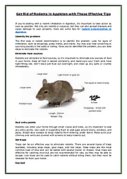 Get Rid of Rodents Extermination in Appleton with These Effective Tips