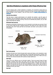 Get Rid of Rodents Extermination in Appleton with These Effective Tips by Title Town Pest Pros - Issuu