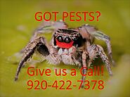 Full Service Pest Control Company - Title Town Pest Pros