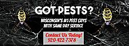 Full Service Pest Control Company - Title Town Pest Pros