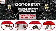 Full Service Pest Control Company Title Town Pest Pros | Pearltrees