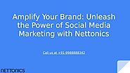 Amplify Your Brand: Unleash the Power of Social Media Marketing with Nettonics