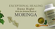 Nature's Energy in a Capsule - Discover The Essence of Moringa Capsules