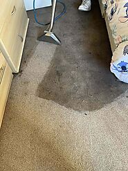 No 1. Carpet Cleaning in London