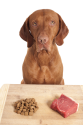 Benefits of a Raw Food Diet for Your Dog