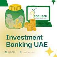 TERMS THAT INVESTMENT BANKING UAE INCLUDES