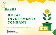 How Dubai Investments Company Works?
